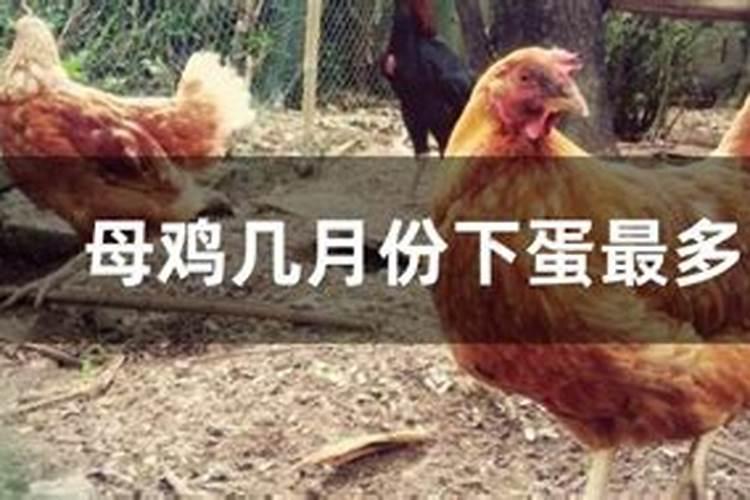 ...太岁怎么化解 2025年属猪佩戴什么可以化解犯太岁
