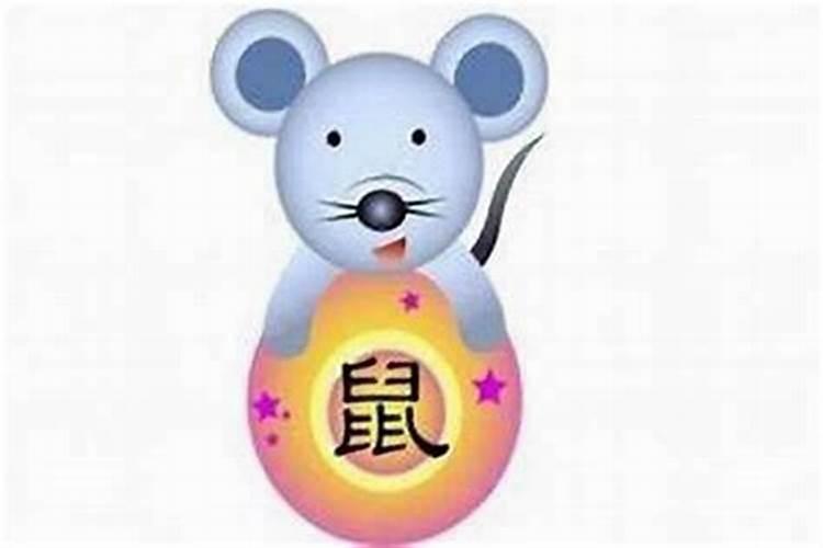 属鼠人运势最好的年份