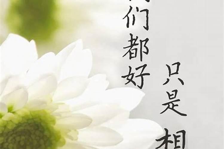 妈妈去世 放生的讲究