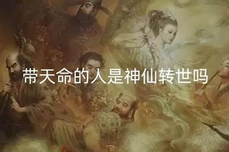 什么是童子命？