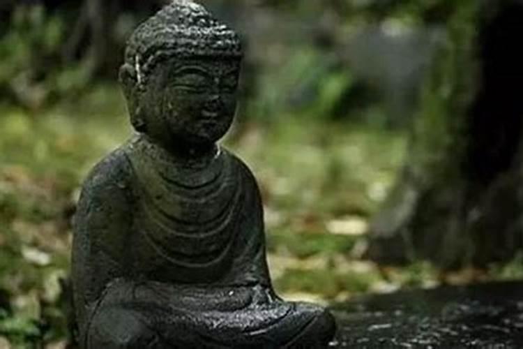 2025属猴今年有一难 2025年属猴人命运如何