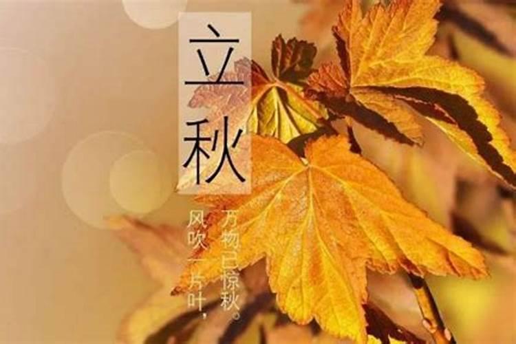 做梦梦到大海 做梦梦到大海波涛汹涌的寓意