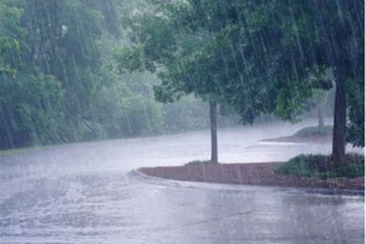 梦见下雨是什么征兆,周公解梦梦见下雨,梦见下雨是什么意思