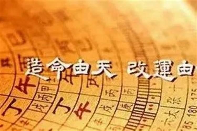 1969年属鸡人在2025年的运势如何？