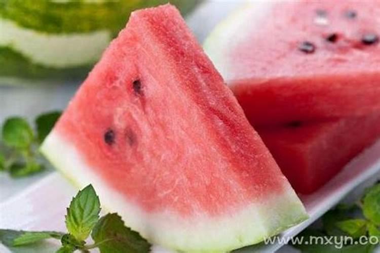 农历4月出生属兔人命好吗