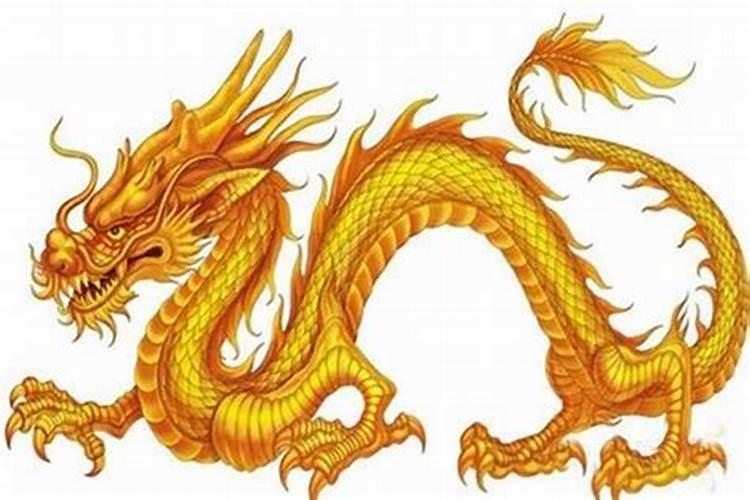1988年属龙人有几次婚姻36岁属龙2024姻缘好吗
