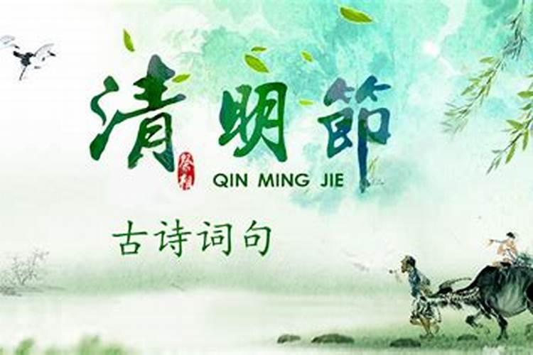 属兔的和属马的相配吗