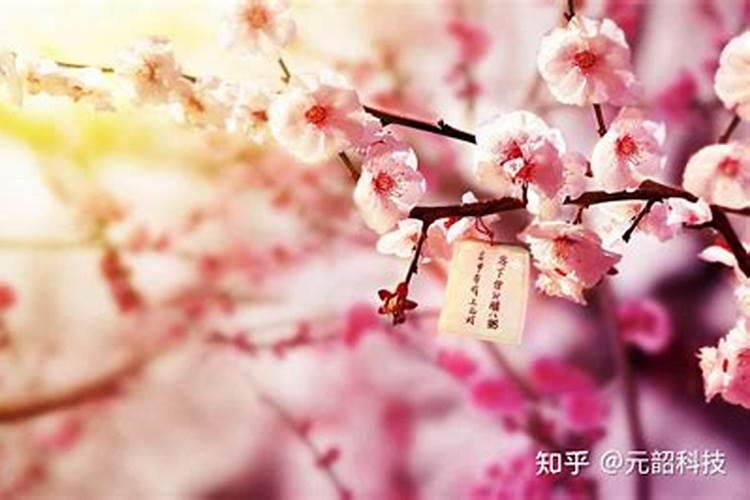 本命年虎年要注意什么