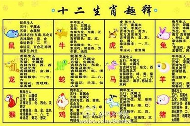 八字缺木火唯一补救的方法