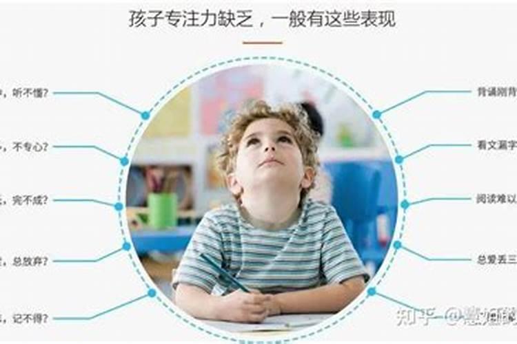 家里有高考的孩子适合养什么花寓意高考金榜题名的植物有哪些百度知 ...