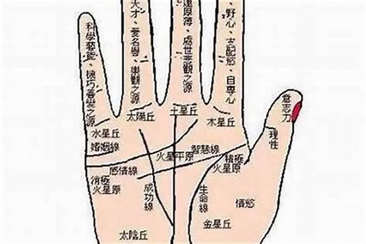 命很苦的人是为什么,善良的女人命是苦的？