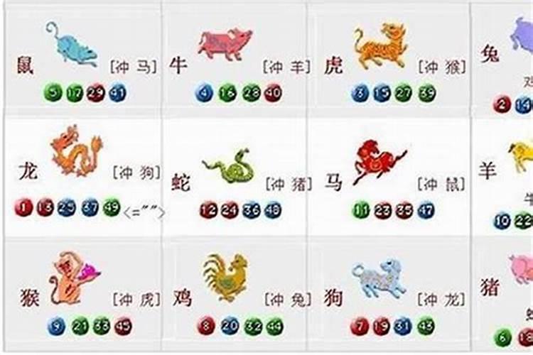 属猪的和属牛的合不合