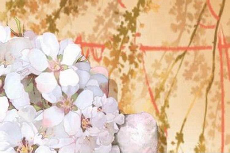 周公解梦 梦见自己的弟弟结婚