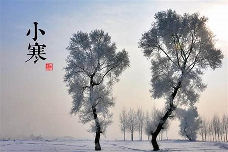 猪年出生的人的命运是什么