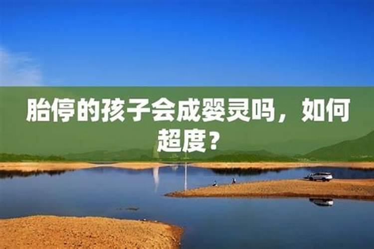 79年农历八月的羊命运 几月的羊最苦命