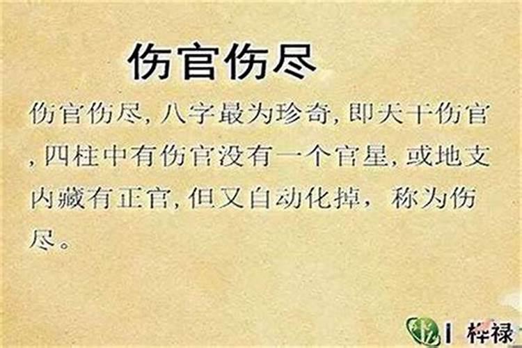 八字排盘里的天干劫财地伤官支什么意思？