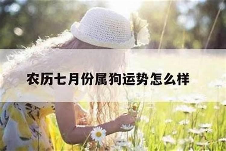2025年属狗人的全年每月运势