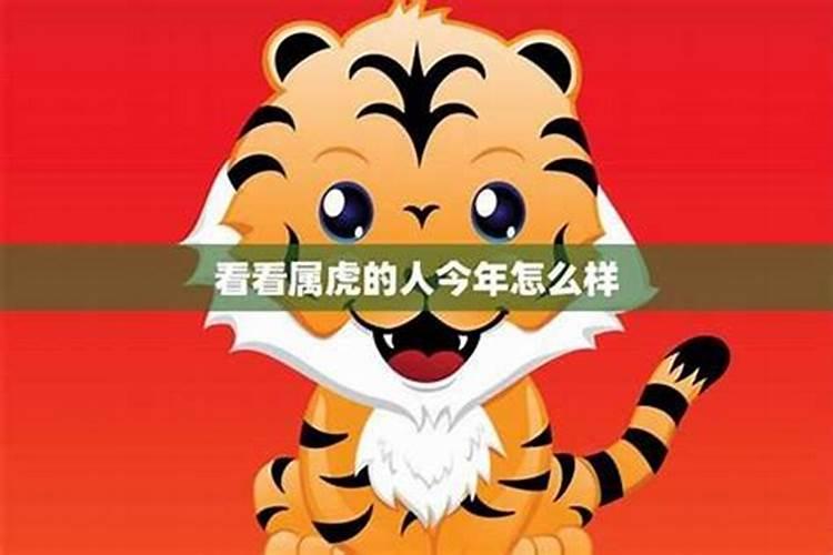 25年哪些属相犯太岁
