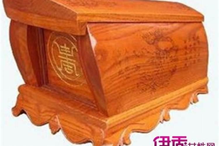 梦见猫死了是什么预兆 女性周公解梦