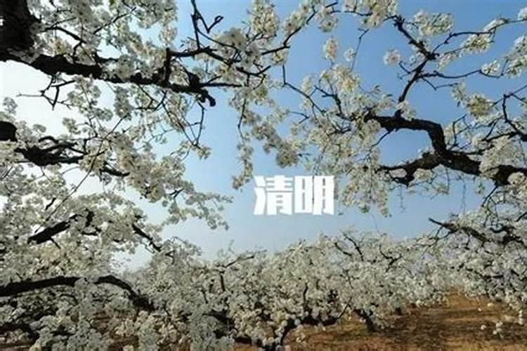 腊八节回娘家有什么说法吗？