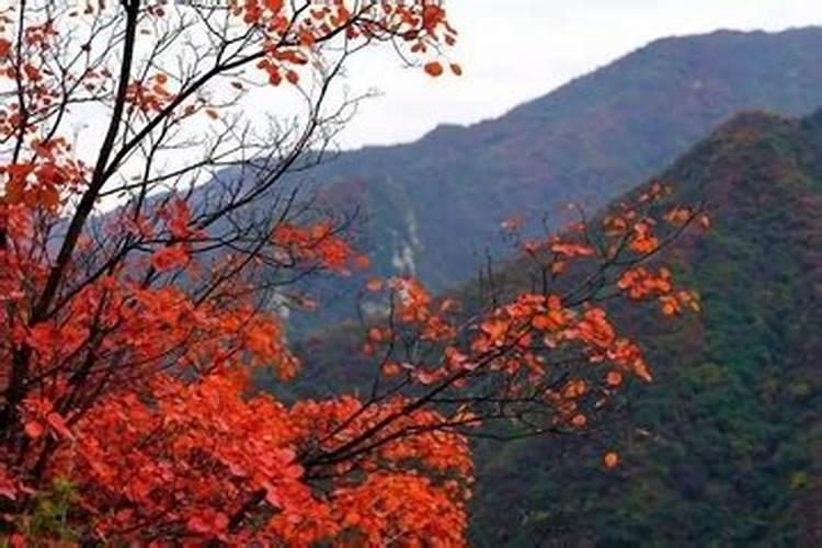 父亲忌日不回去可以去寺庙烧香吗？应该怎么办？