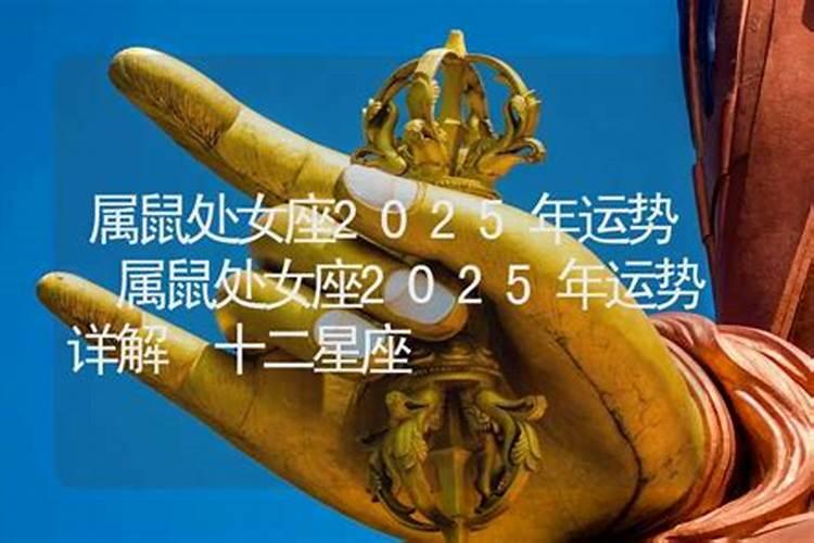 梦见麻雀飞进家里吃小米
