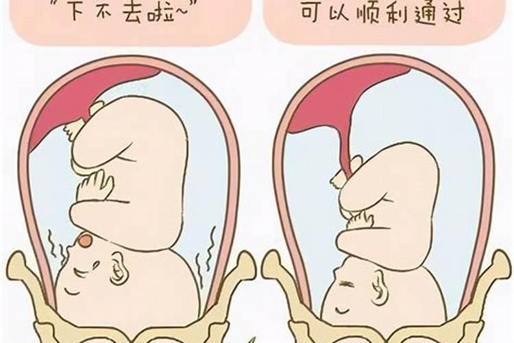 胎儿多久有灵魂