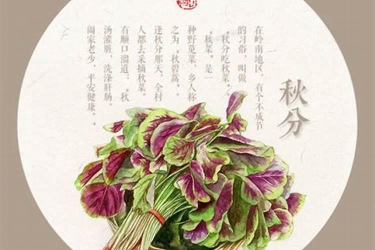 2025犯太岁最凶三个属相