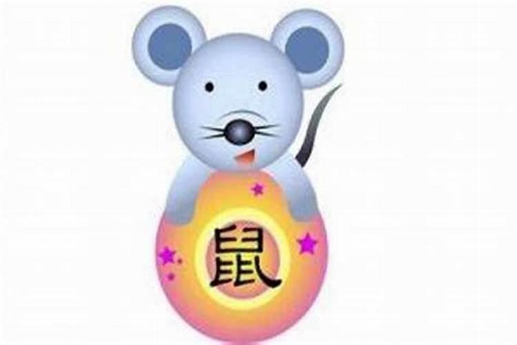 属鼠人2025年运势分析