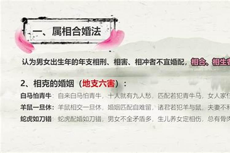 什么属相的夫妻最配