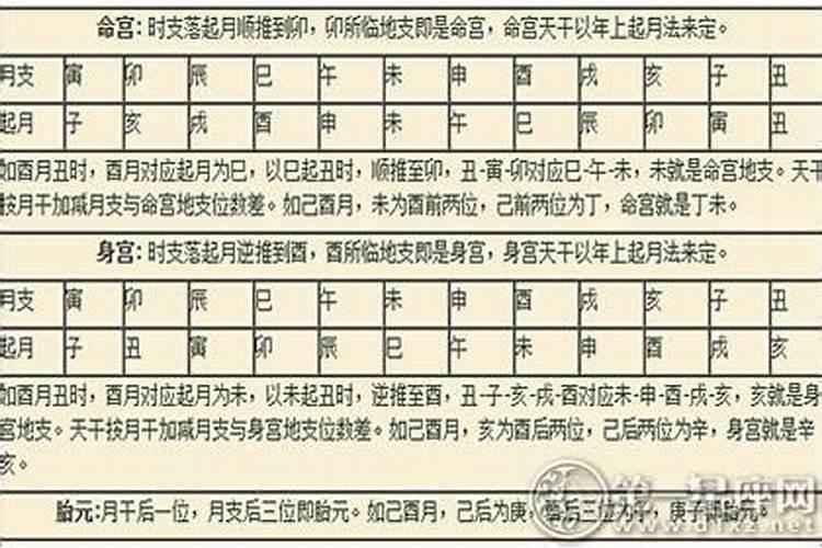 富贵财运什么生肖最旺财