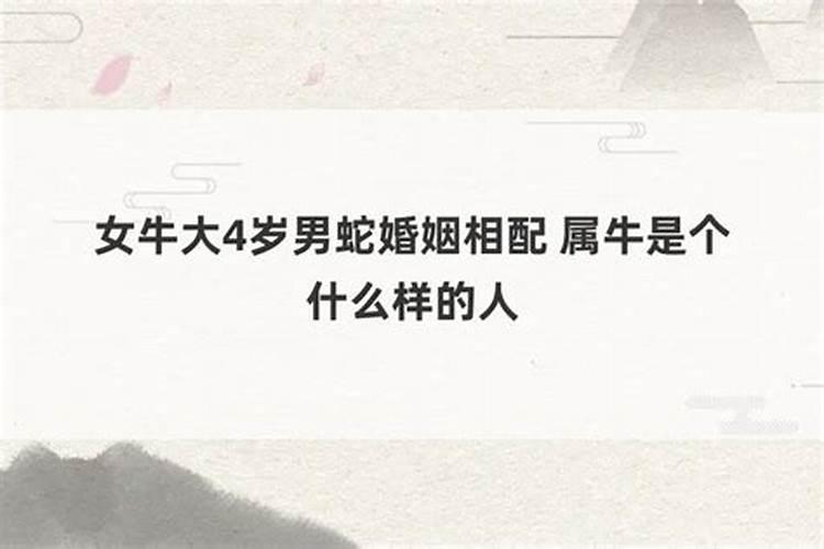 求《史记 鲁仲连邹阳列传第二十三》译文 注释