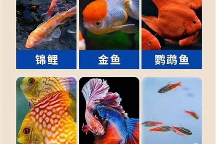 求老北京的传统习俗!!【急】