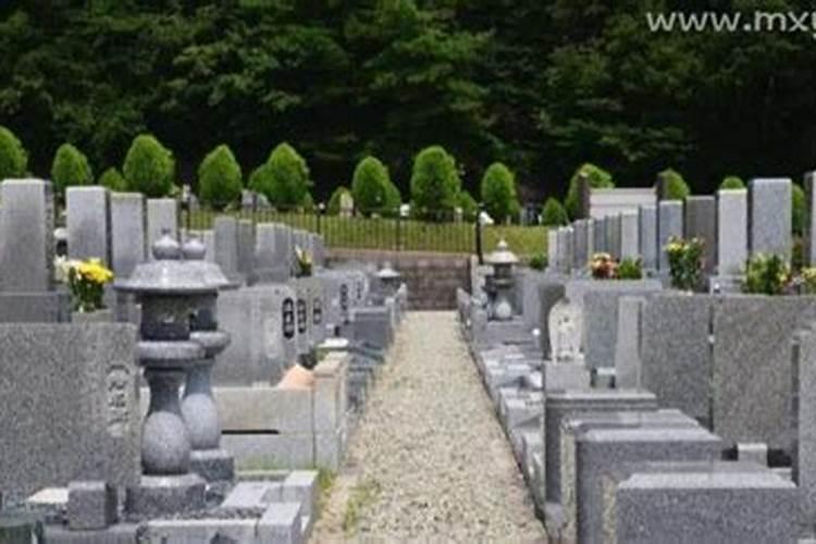 女人梦见坟地什么意思呢
