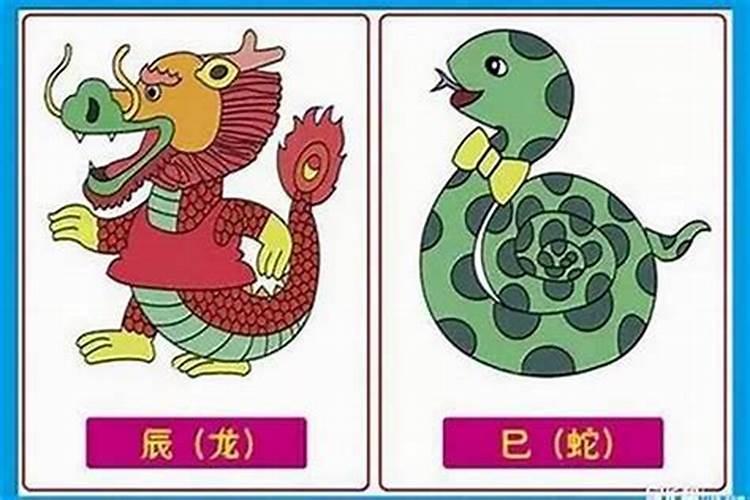 98年属虎婚配蛇合适吗年属虎和属蛇的配吗