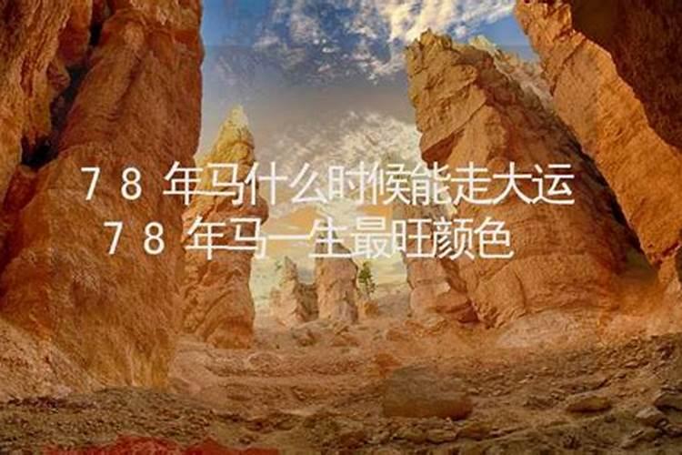 2002年属马人2025年运程