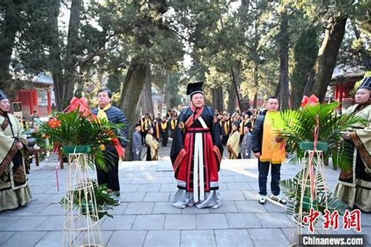 71年猪2025年运势和财运怎么样