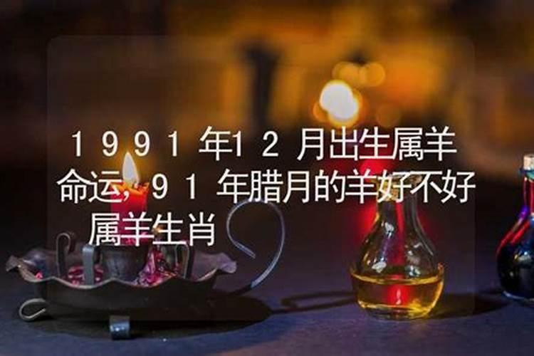 农历12月出生属羊人命好吗