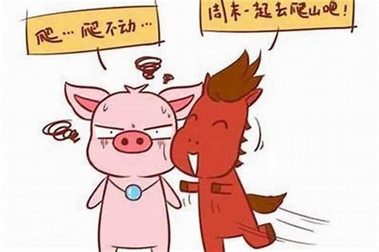 元宵节花灯有哪些样式