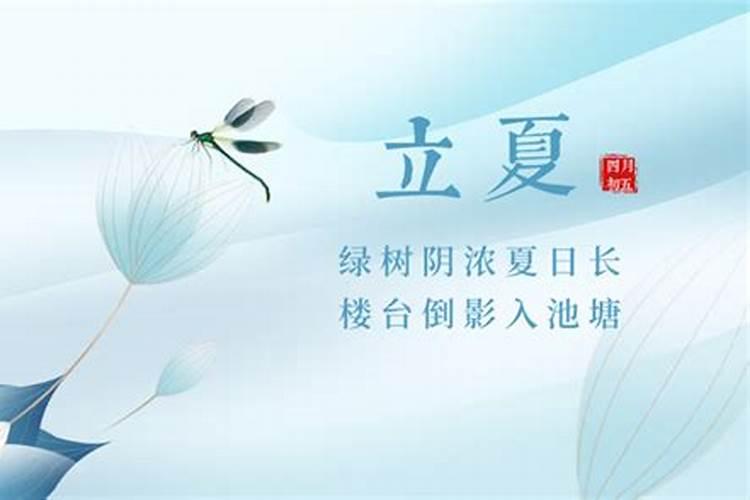 属狗的不能和什么属相在一起