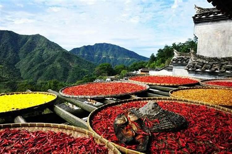 你好,请问在白云观请太岁符大概花多少钱。