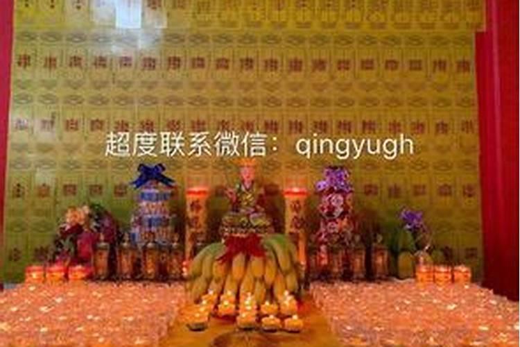 2025年犯太岁属相是哪五个