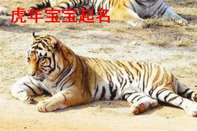 虎年宝宝起名大全 虎年宝宝怎么起名
