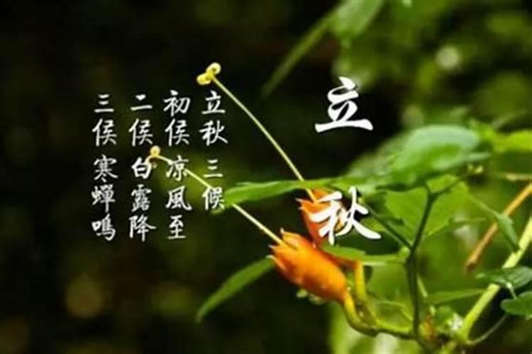 乌鲁木齐跨年夜哪里有活动