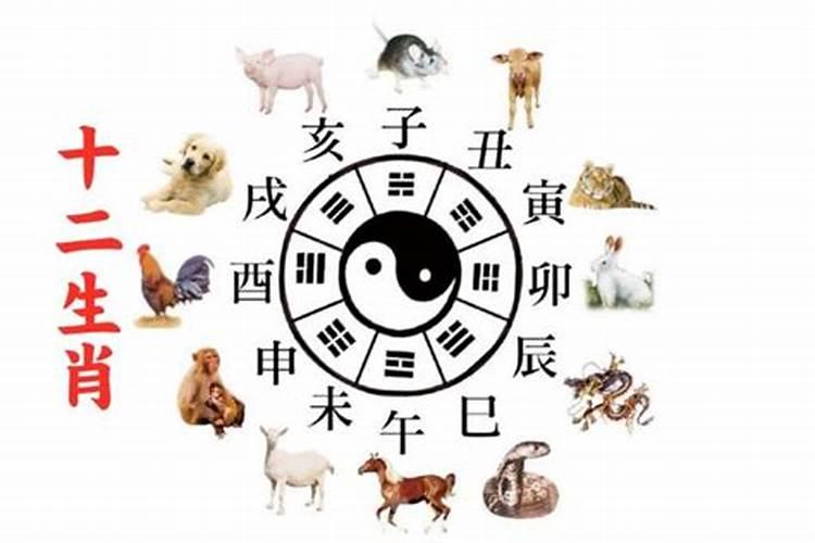 婚姻不顺是哪里风水出了问题