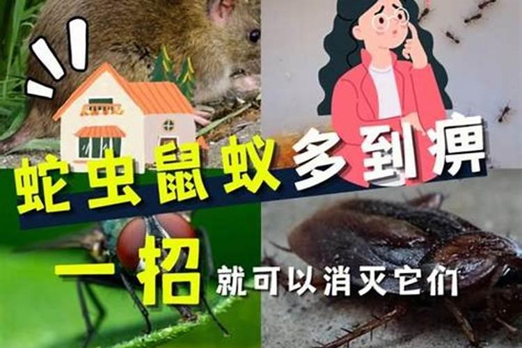 太岁塔应该摆在什么位置,太岁位置摆放什么东西