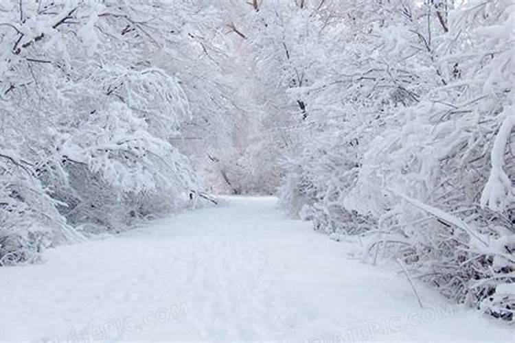 梦见下雪地上白茫茫一片 周公解梦