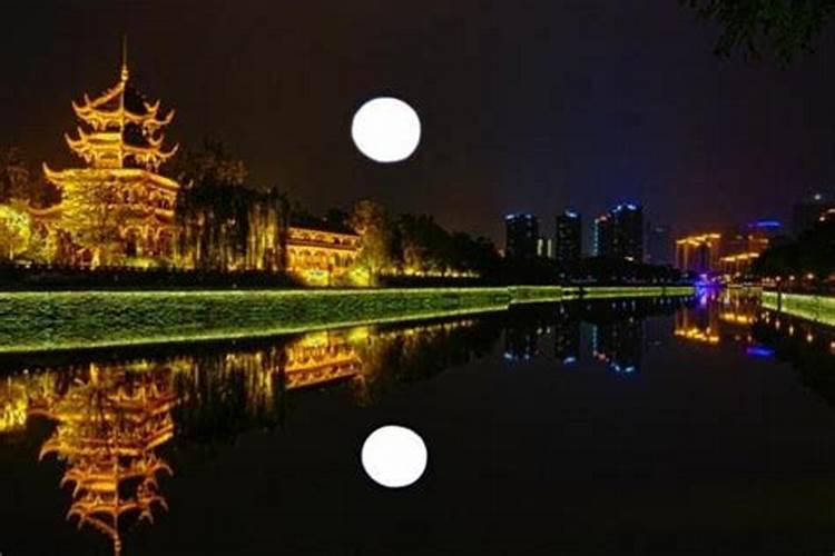 属蛇的人和什么属相最配