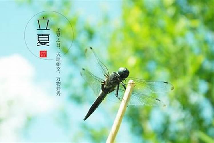 经常犯小人,身上带什么