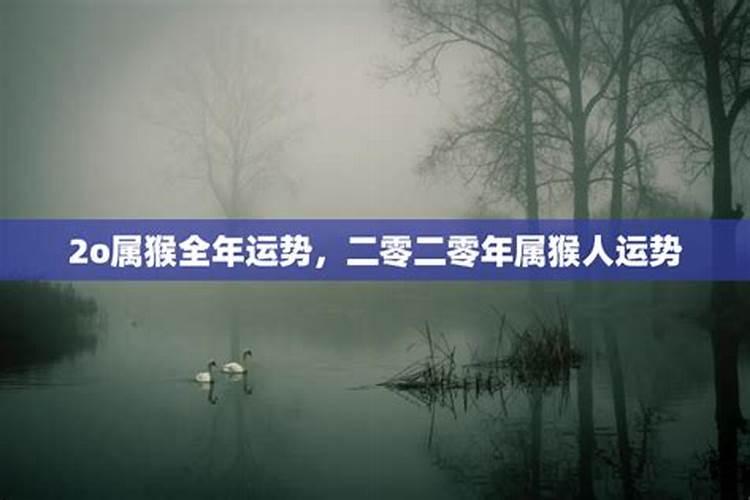 七三年二月出生的男人,今年运势如何每月的运乞